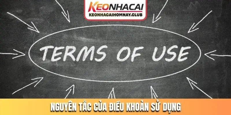 Những nguyên tắc cơ bản nhất của điều khoản sử dụng