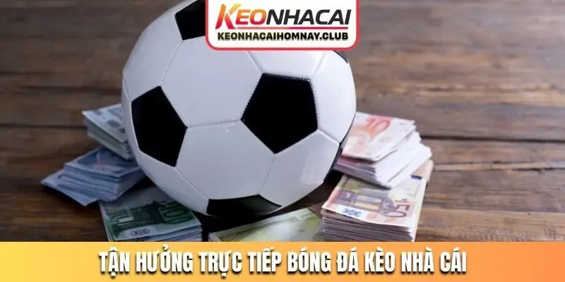 Tận hưởng việc xem trực tiếp bóng đá kèo nhà cái