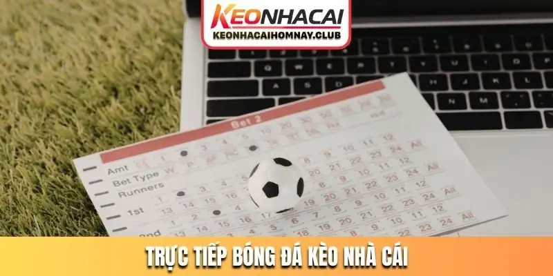 trực tiếp bóng đá kèo nhà cái