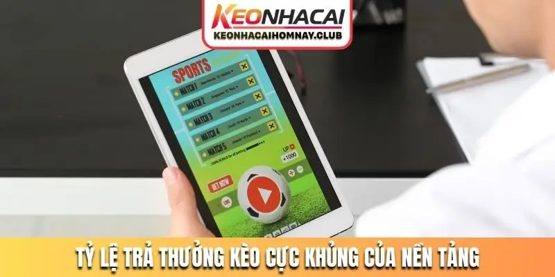 Tỷ lệ kèo nhà cái cực xanh chín tại nền tảng