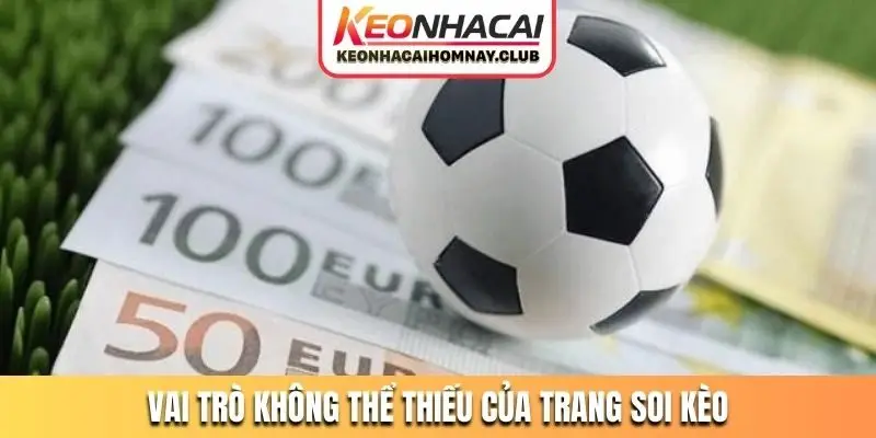 Vai trò không thể thiếu của trang soi kèo