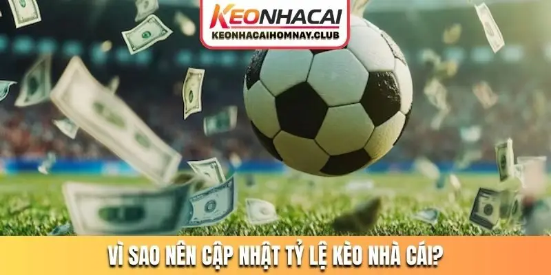 Vì sao nên cập nhật tỷ lệ kèo nhà cái?