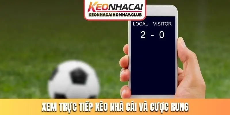 Xem trực tiếp kèo nhà cái và đặt cược rung cực đã