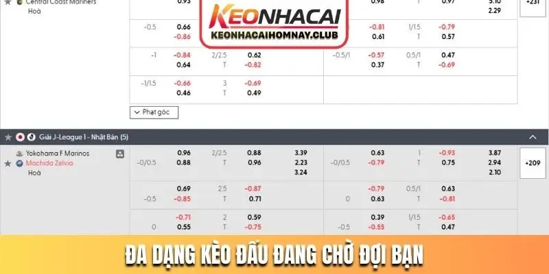 Đa dạng kèo đấu đang chờ đợi bạn