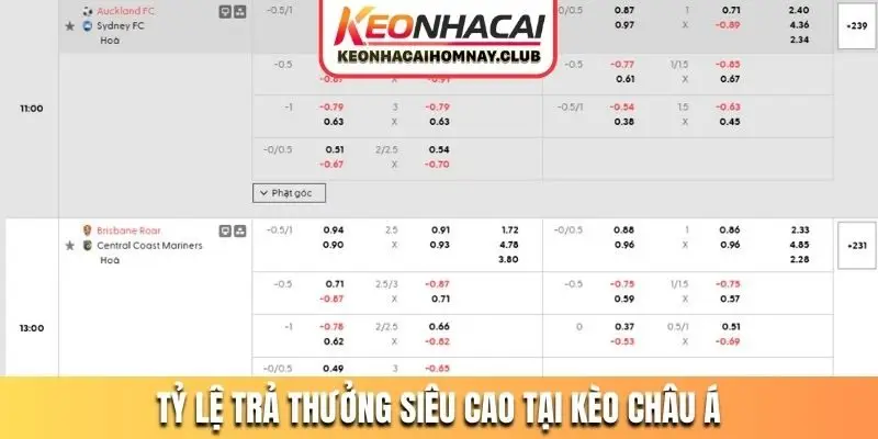 Tỷ lệ trả thưởng siêu cao tại kèo Châu Á